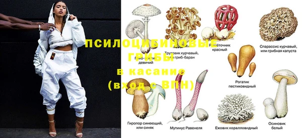 меф VHQ Богданович